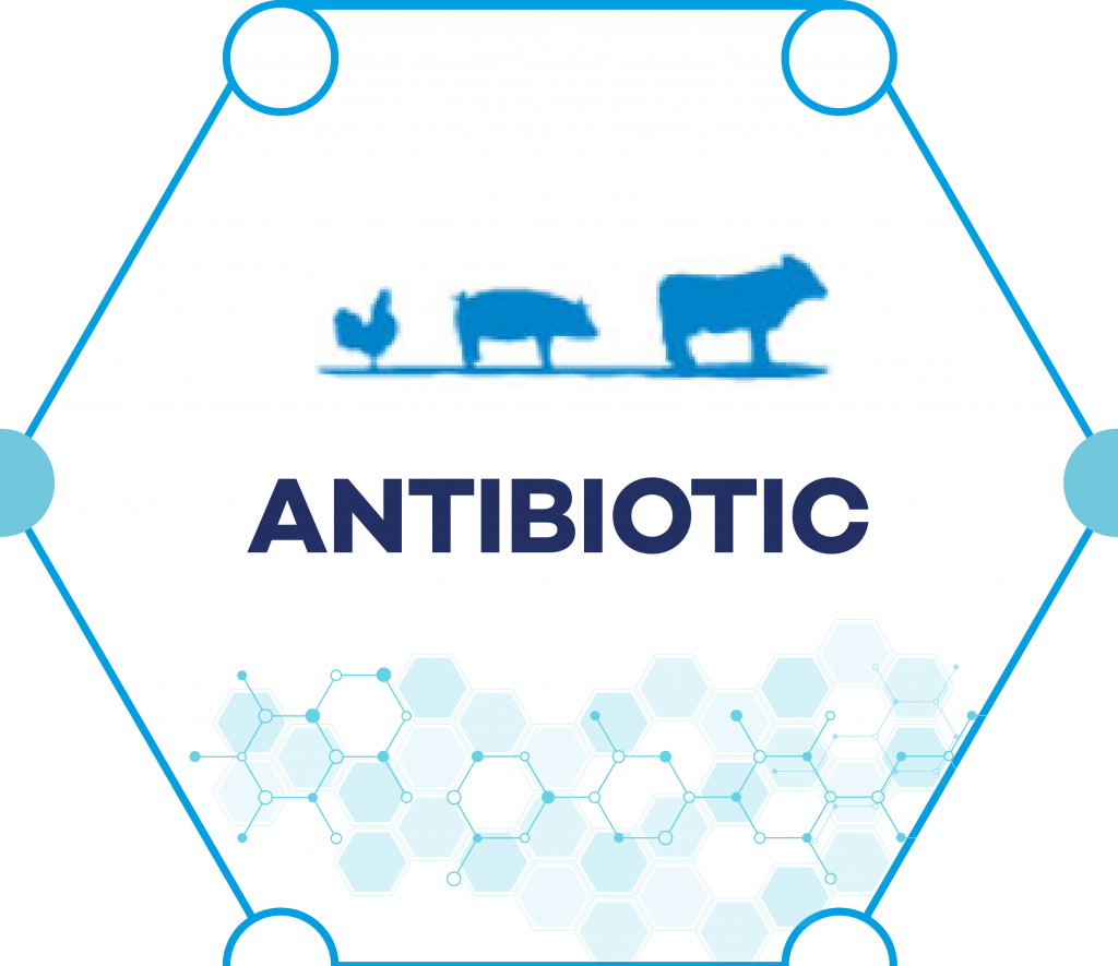 ANTIBIOTIC