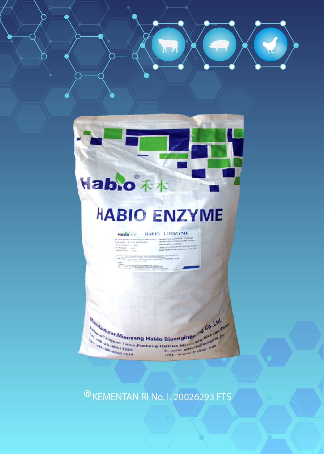 ENZYME LIPASE GRANULE