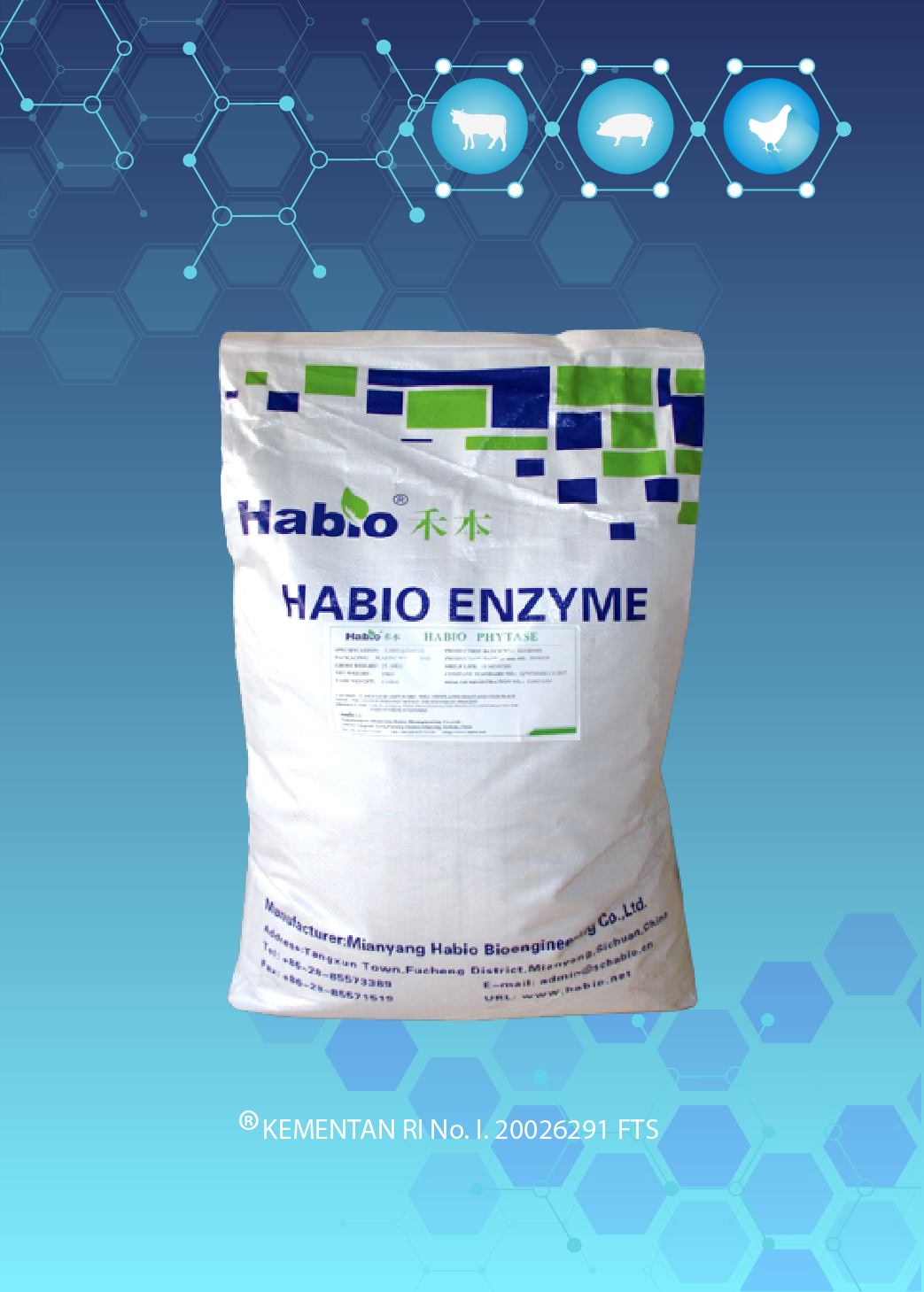 ENZYME PHYTASE GRANULE
