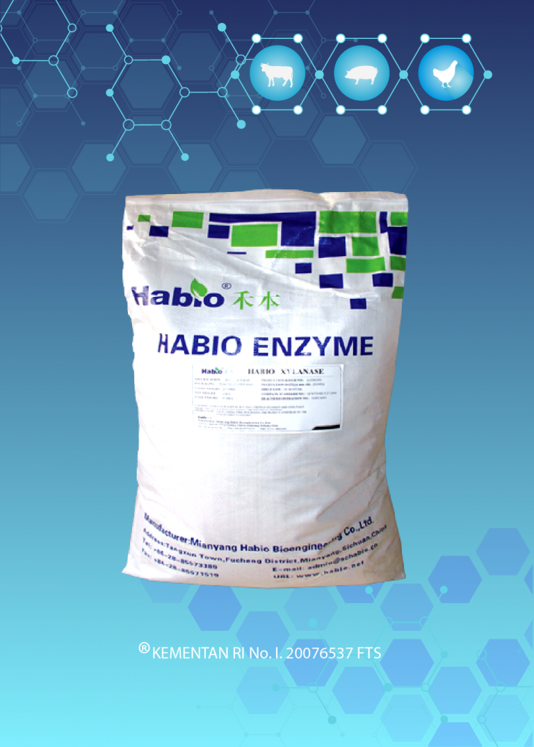 ENZYME XYLANASE GRANULE
