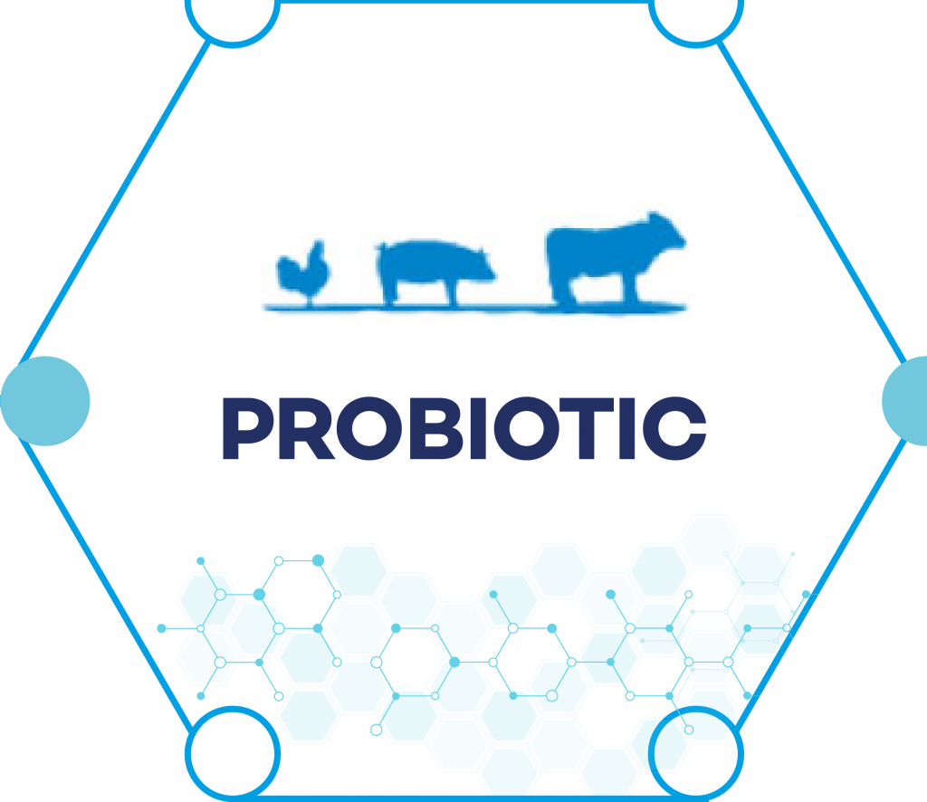 PROBIOTIC