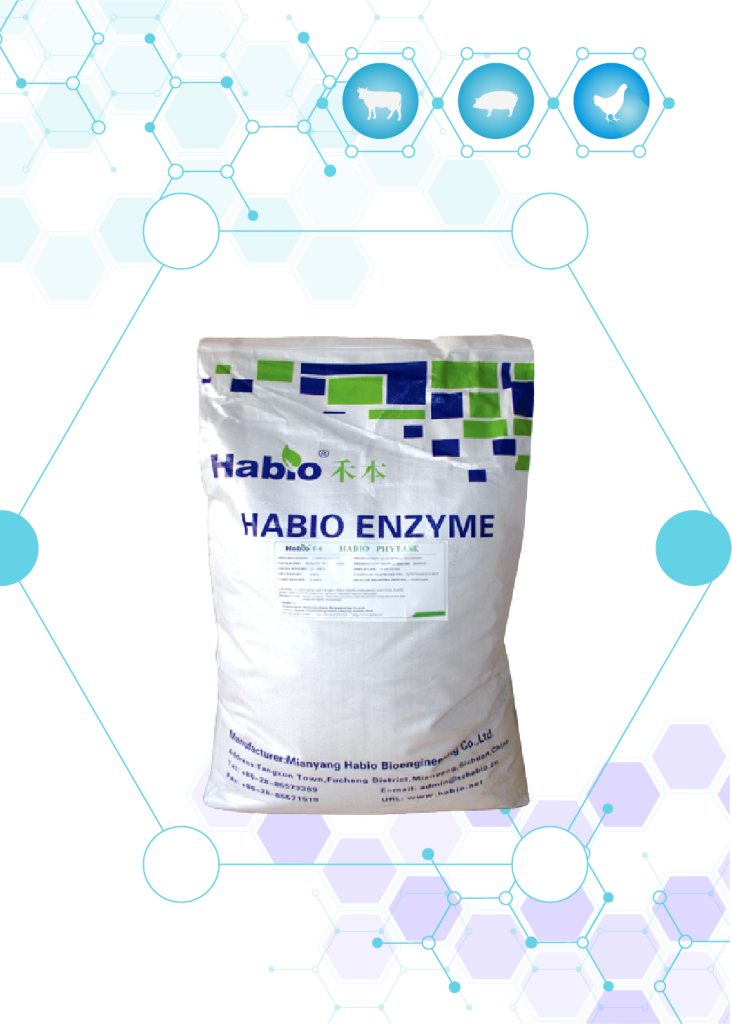 ENZYME PHYTASE GRANULE