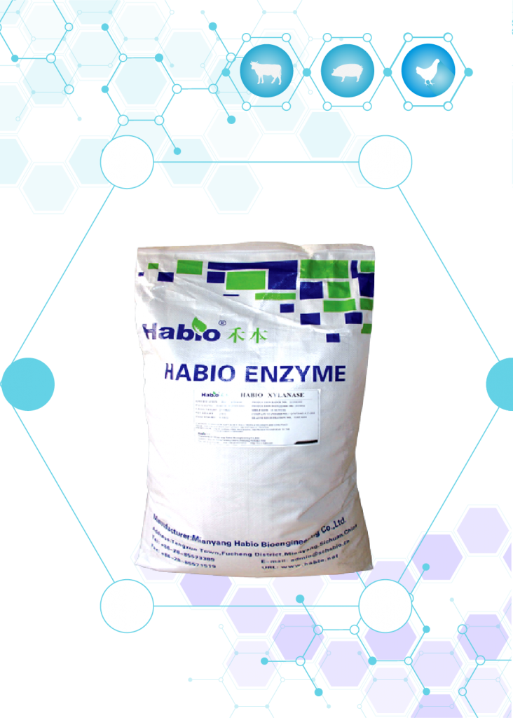 ENZYME XYLANASE GRANULE
