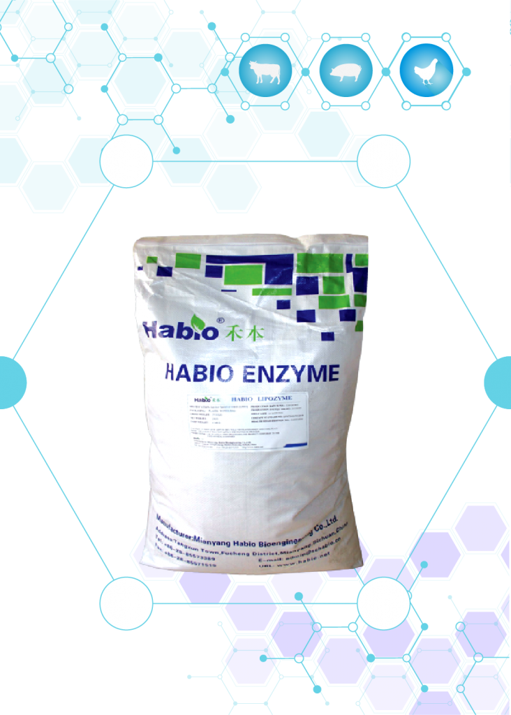 ENZYME LIPASE GRANULE