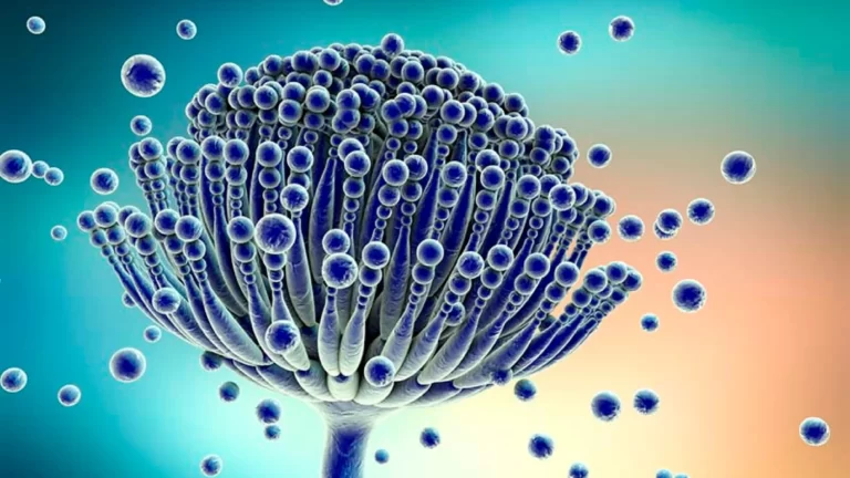 Mold & Mycotoxitosis 3_result