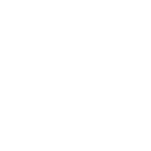 VISI